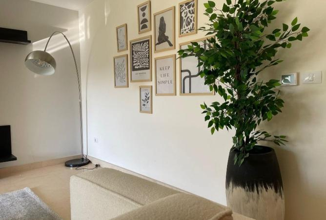 8628342 - Property Image 3