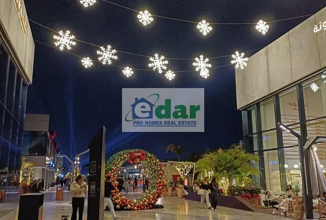 117533145 - صورة العقار 3