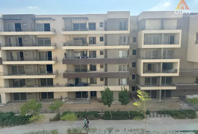 99117453 - Property Image 2