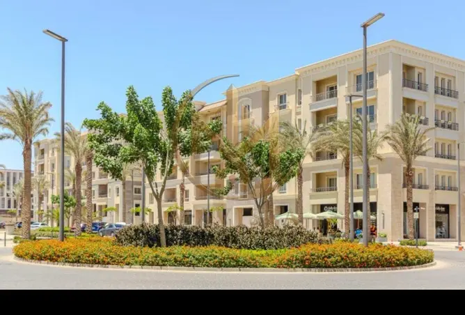 116743935 - Property Image 3