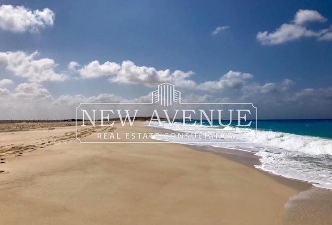 67736437 - صورة العقار 2