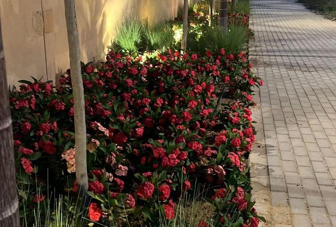 70102450 - Property Image 3