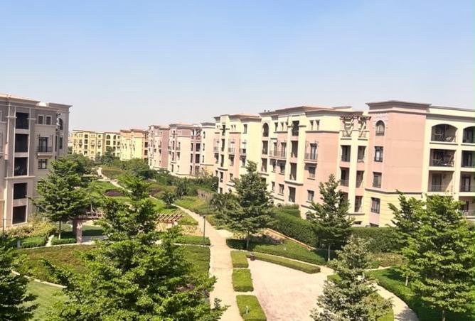 104872074 - Property Image 2