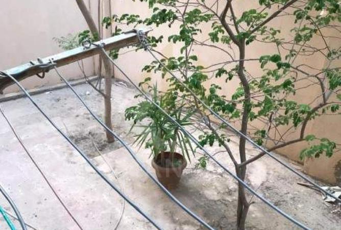 52197302 - صورة العقار 2