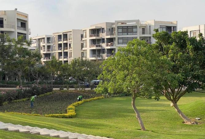 63142945 - صورة العقار 2