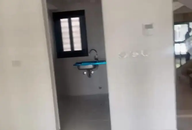 116227545 - Property Image 3