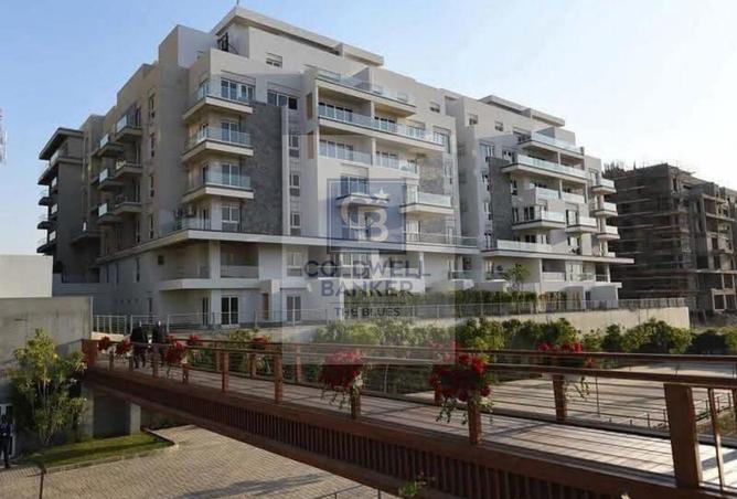 74314012 - Property Image 3