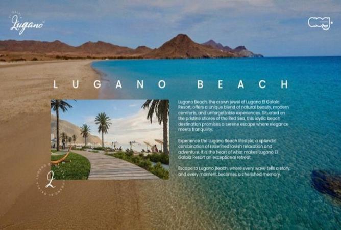 65339063 - صورة العقار 3