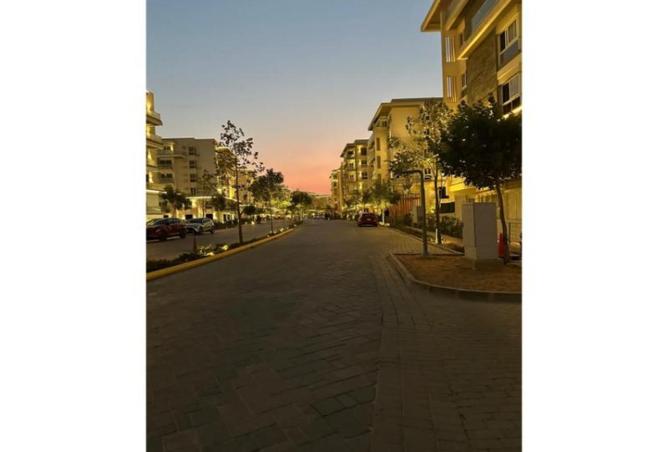 56000875 - Property Image 2