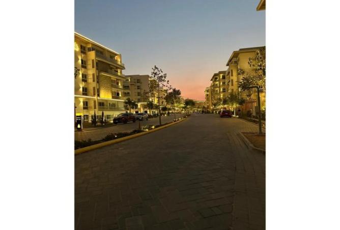 56000875 - Property Image 3