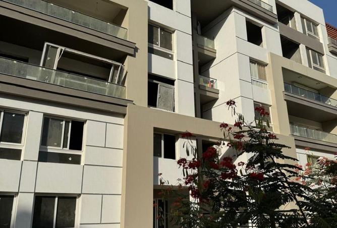 62412239 - Property Image 3