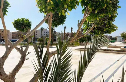 Apartment - 2 Bedrooms - 1 Bathroom for sale in Intercontinental District - Hurghada - Red Sea