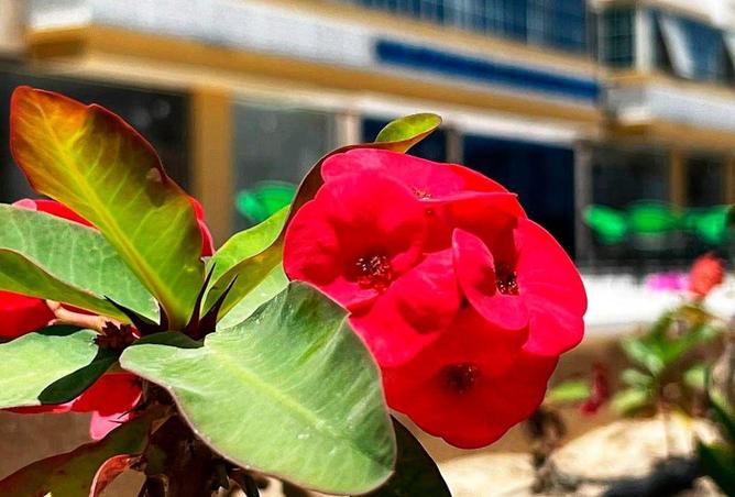 66958623 - Property Image 2