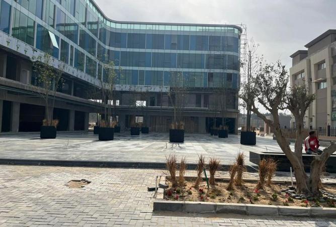 81317897 - صورة العقار 3