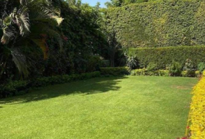 56251650 - صورة العقار 2