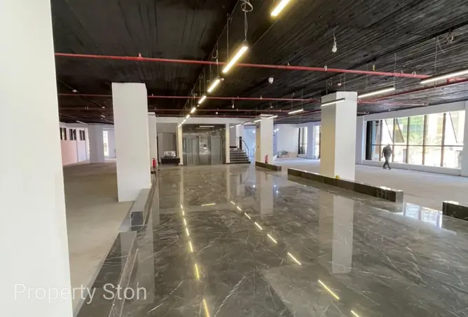 117011821 - Property Image 3
