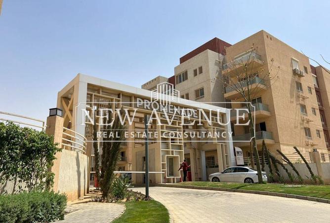 61201840 - صورة العقار 2