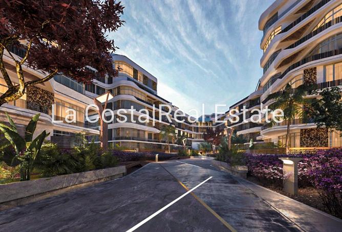 54241588 - Property Image 3