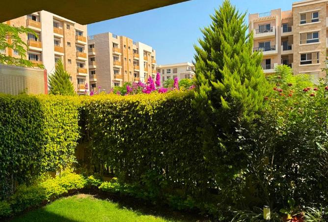 93803799 - صورة العقار 2