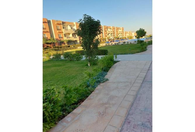 8599576 - Property Image 3