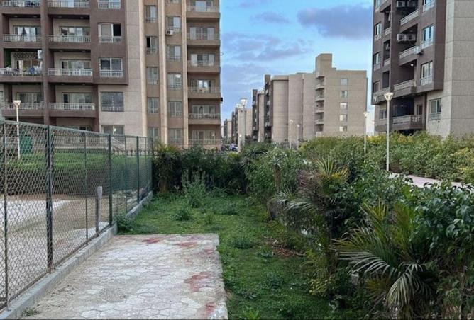 56682935 - Property Image 3