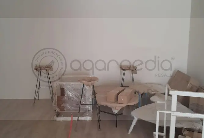 113253997 - Property Image 3