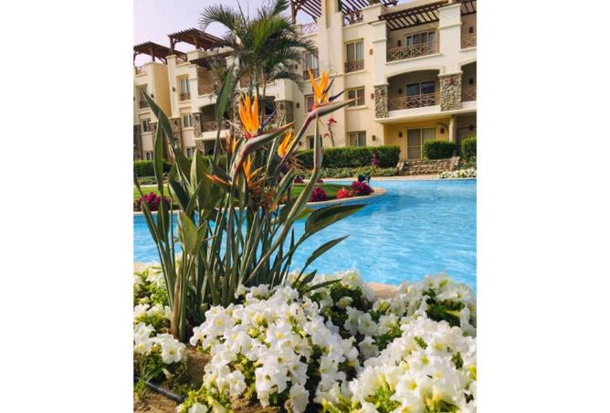 8697809 - صورة العقار 2