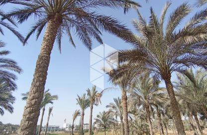 Villa - 6 Bedrooms - 7+ Bathrooms for sale in Katameya Dunes - El Katameya Compounds - El Katameya - New Cairo City - Cairo