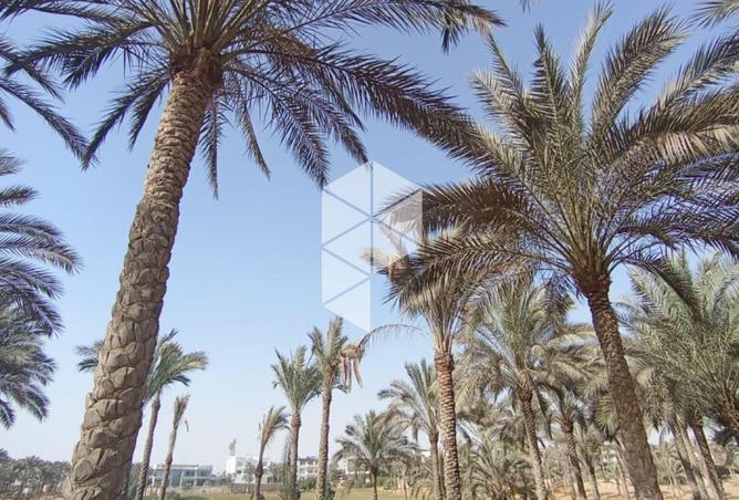 64635909 - صورة العقار 2