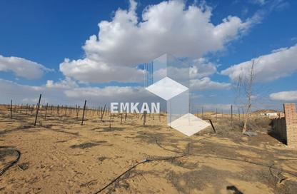 Land - Studio for sale in Al Mostakbal St. - 2nd District - Sheikh Zayed City - Giza