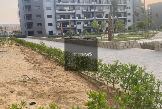 62648215 - Property Image 2