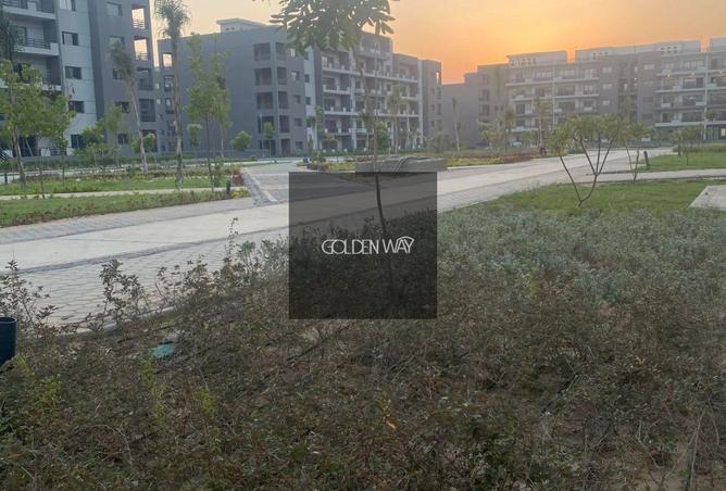 62648215 - Property Image 3