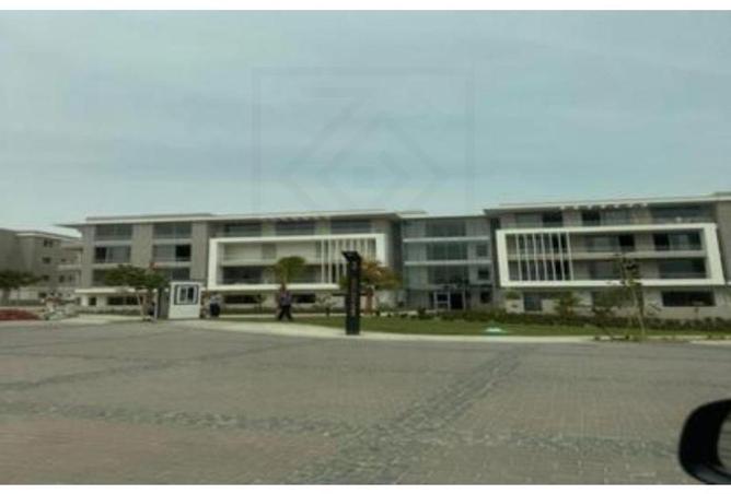 8594391 - Property Image 2