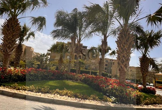 85054797 - صورة العقار 2