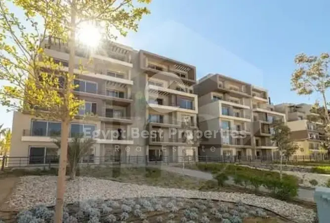 116758347 - Property Image 3