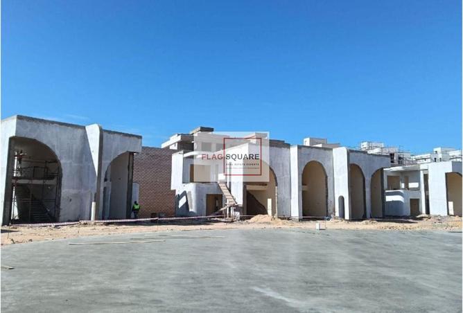 98816809 - Property Image 3
