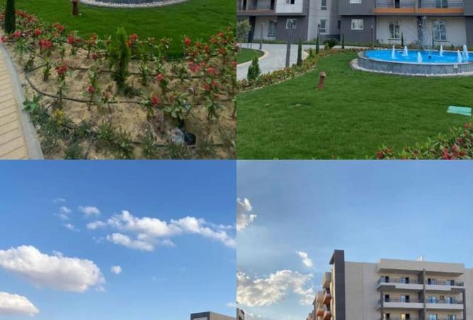 8448779 - صورة العقار 3