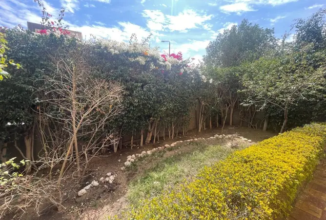 109914776 - صورة العقار 2