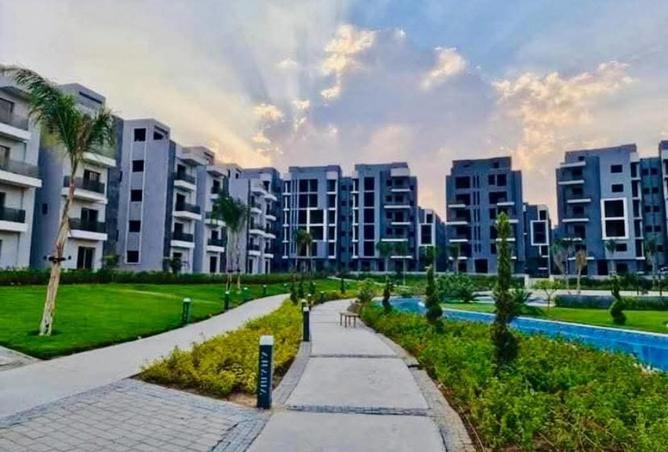 52453476 - Property Image 3