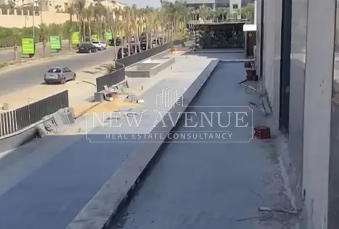 113245494 - Property Image 3