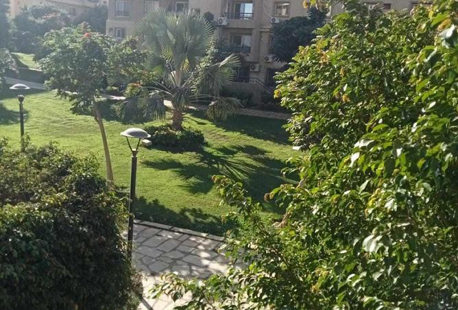 64382080 - صورة العقار 3