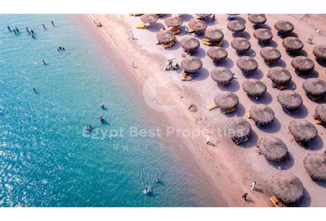 8633296 - صورة العقار 3