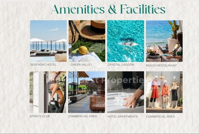 61690394 - Property Image 3