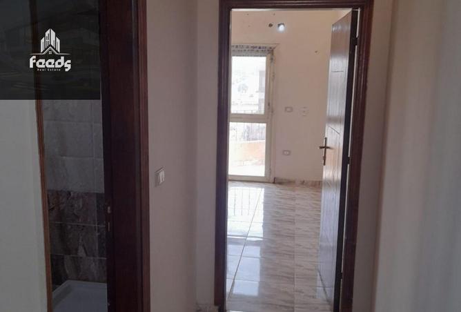71646766 - Property Image 3
