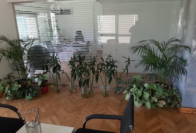 8567411 - Property Image 2