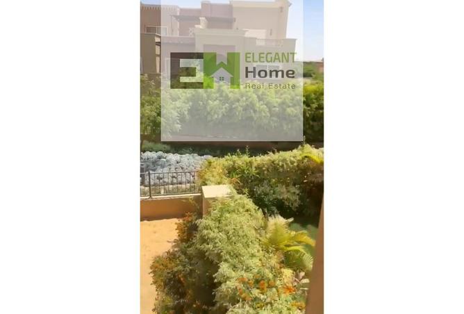 62645681 - Property Image 2