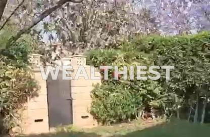 Villa - 4 Bedrooms - 3 Bathrooms for rent in Privado - Madinaty - Cairo