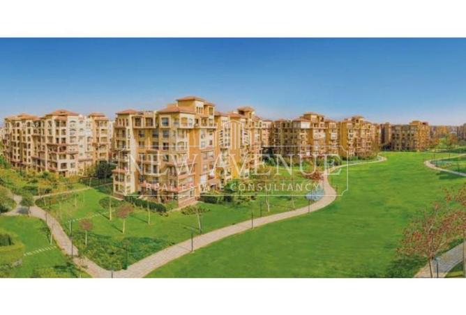 99398029 - Property Image 3
