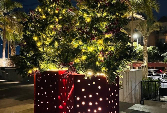 8497955 - صورة العقار 3