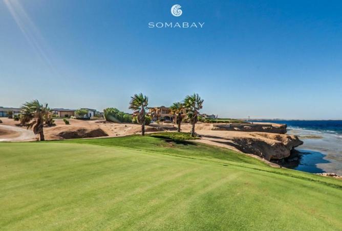 59496345 - Property Image 3